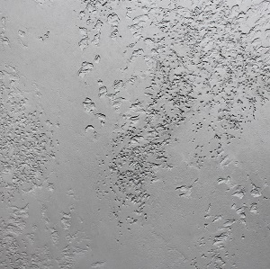 микробетон